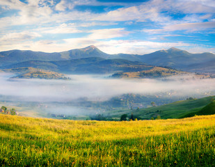 Splendid summer scene in Carpathian mountains.