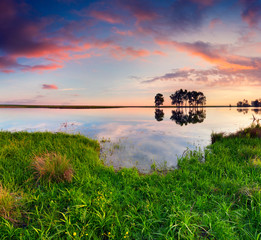 Colorful summer sunrise on the small pond.