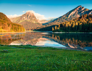 Beautiful summer view of the Obersee lake.