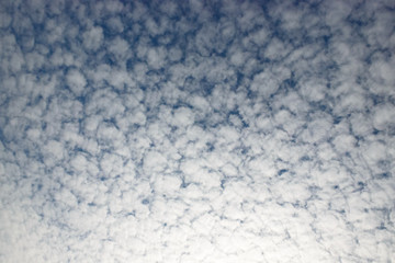 Fototapeta na wymiar Sky background with tiny floccus clouds.