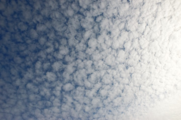 Obraz premium Sky background with tiny floccus clouds.