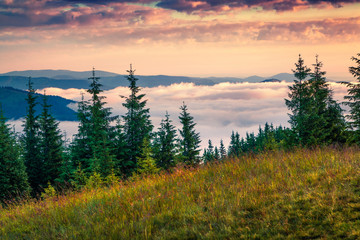 Picturesque morning scene in the Carpathian mountains.