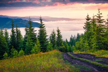 Picturesque morning scene in the Carpathian mountains with old country road