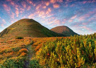 Great summer sunrise in Carpathians