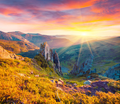 Colorful summer sunrise in the Carpathians