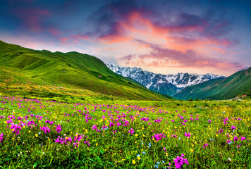 Beautiful view of alpine meadows in the Caucasus mountains