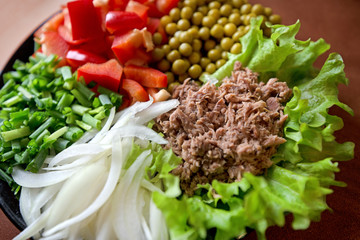 Abstract, blurry shot. Freshly made vegetable salads on plate on rustic background. Tuna with green lettuce, peas, paprika or red pepper, onion slices and spring onions. Delicious meal for breakfast