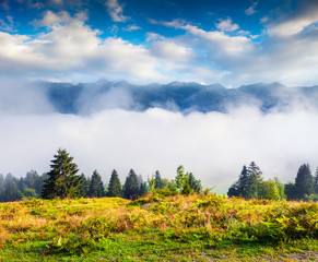 Foggy morning scene in Triglav national park, Bohinj lake location. Sunny summer view of Julian...