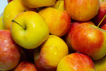 apple in  white background