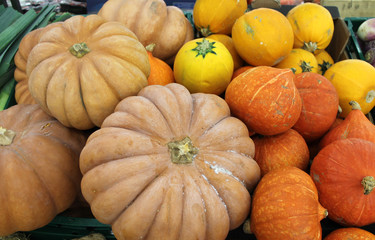 courge muscade et potimarrons