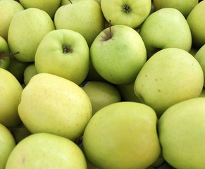 pommes golden