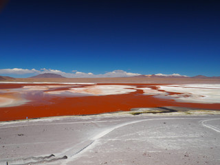 Laguna Colorada, Uyuni, Bolivia
