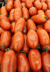 tomates allong&eacute;es