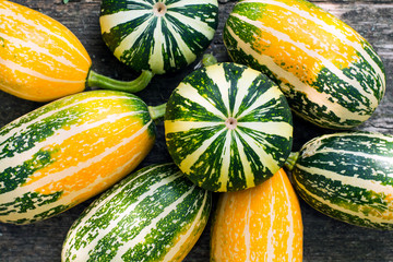 Small decorative pumpkins in the garden on a wooden bench for decorating an apartment or a house for a Halloween holiday