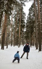 Autumn leaves and the first snow, Kratovo, Moscow region, Russia, Europe