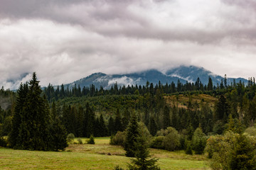 Foggy and cloudy woods and mountain of Orava in Slovak republic