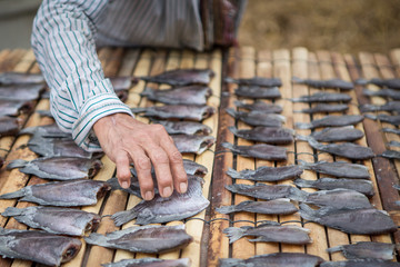 The hands keep the fish dry on a bamboo mat