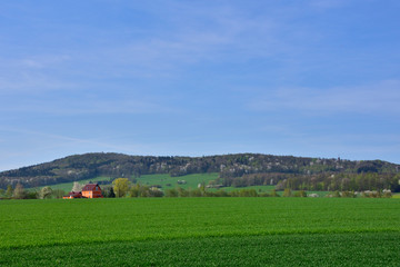 Blick zum Rotstein bei Löbau