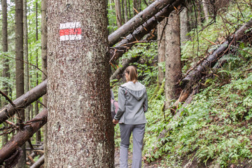 Naklejka na ściany i meble Young women hiking in the woods