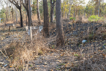Cinder from wildfire near countryside road.