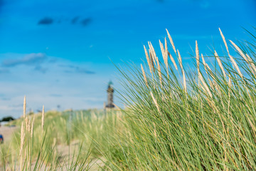 Obraz premium lighthouse with dunes and grass