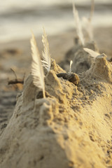 Sand castle with feathers of birds on the beach at sunset