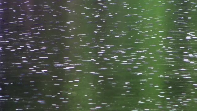 Rain Drops on a Water Surface