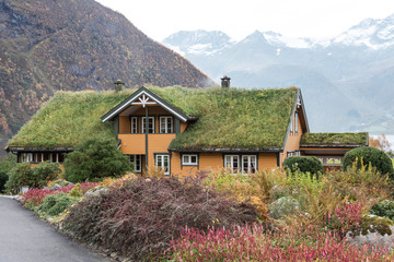 Fototapeta na wymiar norwegian fjord with typical old house with grass roof soden, norway, europe, urke city