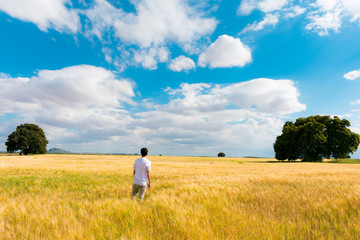 Spring natural landscape in Spain