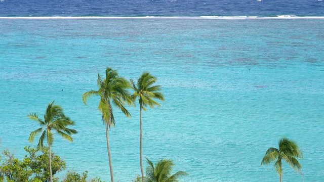 Small foaming ocean waves roll towards the beautiful beach with tall palm trees. Breathtaking view of the turquoise ocean near a tropical island in the Pacific. Summer breeze blowing in the Maldives.