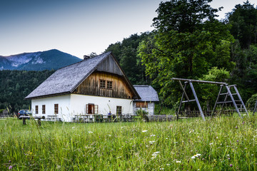 Fototapeta premium hut and flower meadow Austria Boddinggraben Moll Upperaustria
