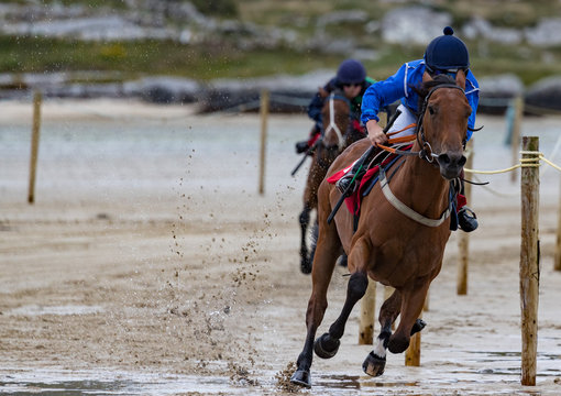 Horse racing on the beach