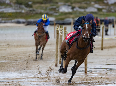 Horse racing on the beach