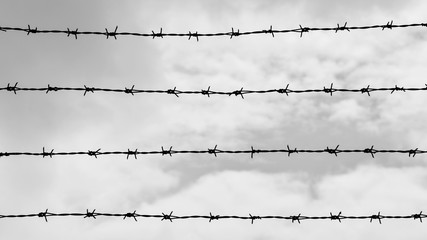 silhouette of barbed wire - Monochrome