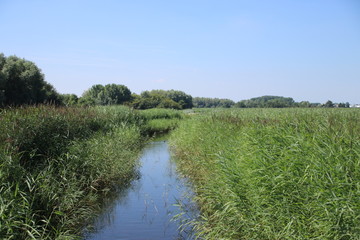 Water in the recreation area Park Hitland in Nieuwerkerk aan den IJssel in the Netherlands