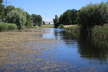 Fototapeta na wymiar Water in the recreation area Park Hitland in Nieuwerkerk aan den IJssel in the Netherlands