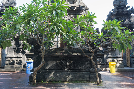 bat cave goa lawah at bali indonesia asia with hindu symbol sign similar fylfot