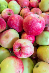 Harvest of apples from the garden as a background