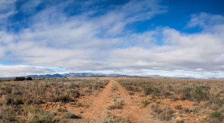 Eastern Cape Landscape