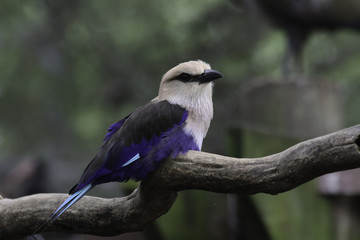 Standing Watch