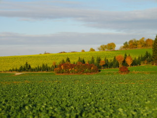 Tilt shift picture of colorful autumn landscape
