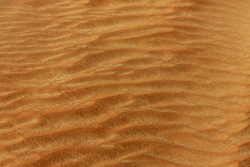 Desert in United Arab Emirates.
