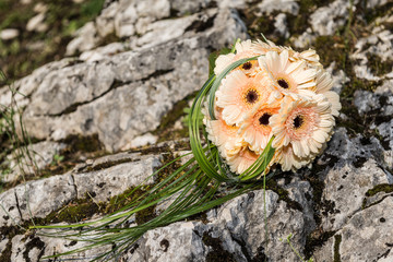 yellow cream gerbera wedding flowers bouquet on a mountain