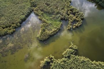 Swampy lake, aerial photography, on a summer day, background image
