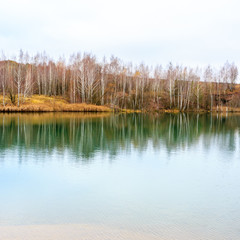 Obraz premium Reflection of bare autumn birch forest in water of calm lake.