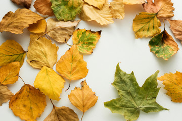 yellow foliage scattered on the table, withered leaf, background with copy space, for advertising, top view