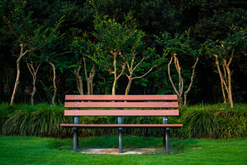 Empty Park Bench Morning Sunrise Empty Relaxing Peaceful Scene