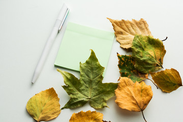 yellow foliage scattered on the table, white pensil, withered leaf,  green notebook for records, autumn background with copy space, for advertising, top view