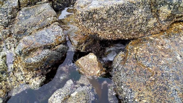 Cape Peninsula False bay shore line