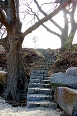 stone steps going past trees at Stage Fort Park in Gloucester Massachusetts